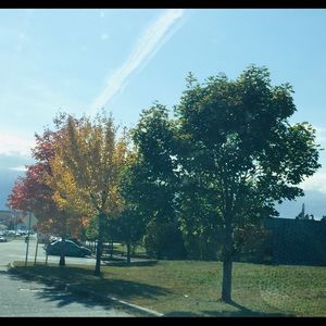 Meet your Posher, Maritza